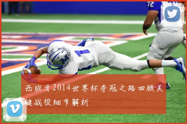 西班牙2014世界杯夺冠之路回顾关键战役细节解析