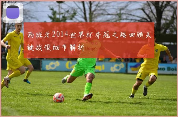 西班牙2014世界杯夺冠之路回顾关键战役细节解析