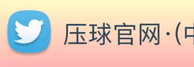 压球官网·(中国)官方网站 logo